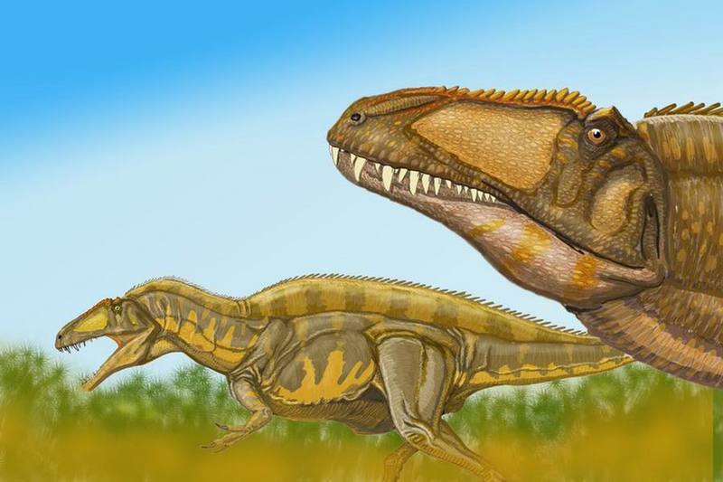 Acrocanthosaurus - Wiki; DISPLAY FULL IMAGE.