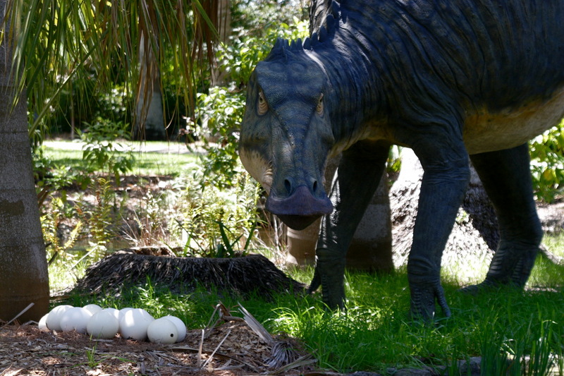 Edmontosaurus - Wiki; DISPLAY FULL IMAGE.