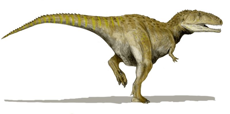 Mapusaurus - Wiki; DISPLAY FULL IMAGE.