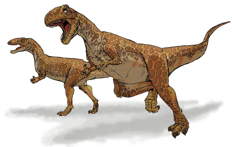 Megalosaurus - Wiki; DISPLAY FULL IMAGE.
