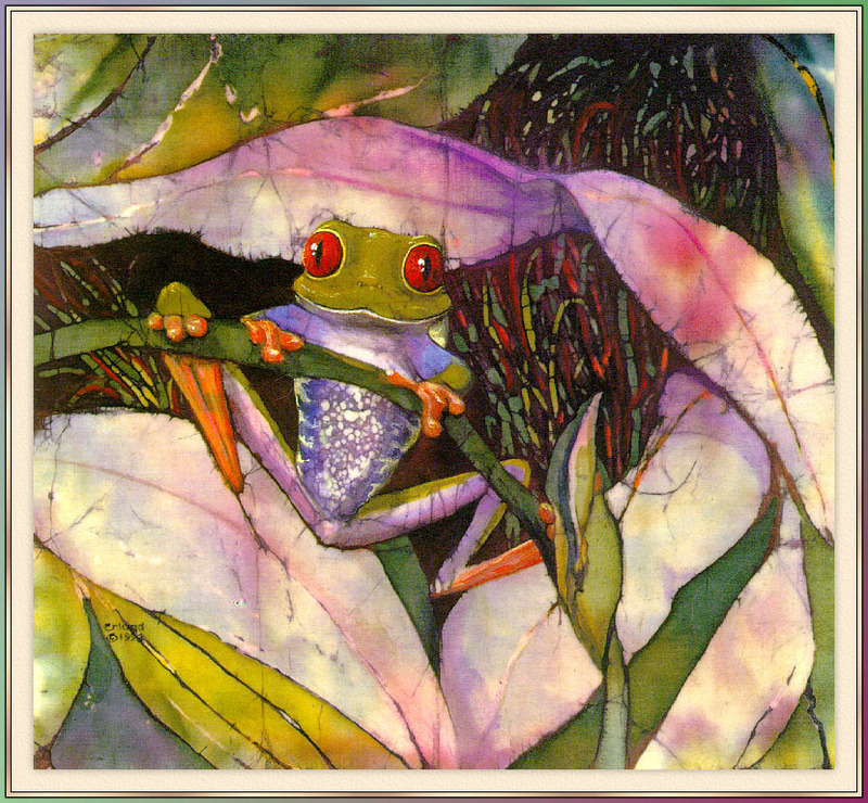 Erlund Beth, Red-eyed TreeFrog; DISPLAY FULL IMAGE.