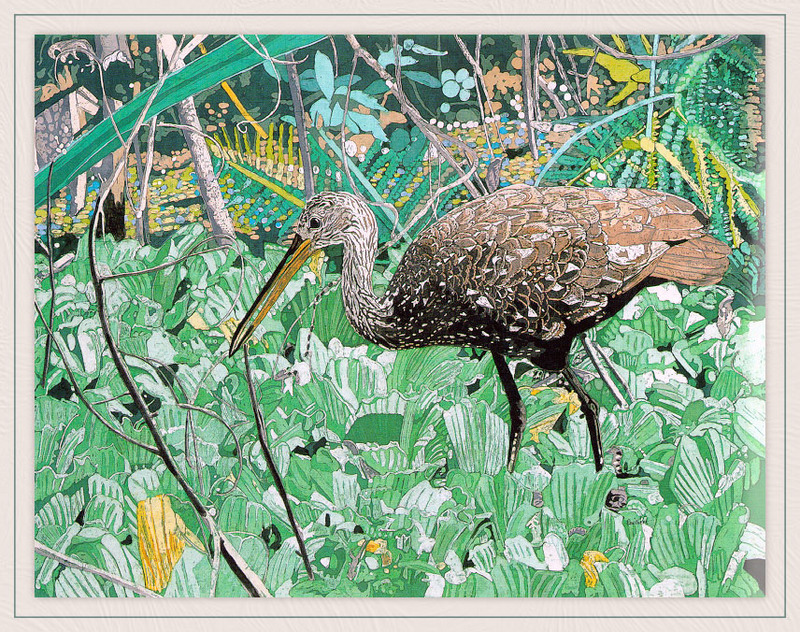 John Soulliere - Limpkin (Art), Aramus guarauna; DISPLAY FULL IMAGE.