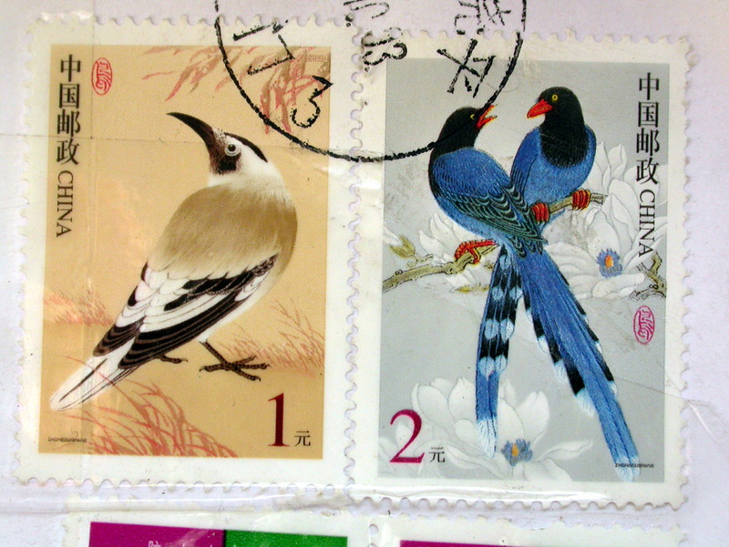 Xinjiang Ground-jay (Podoces biddulphi) - Wiki; DISPLAY FULL IMAGE.
