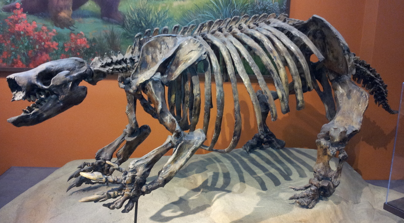 Paramylodon harlani (Harlan's ground sloth); DISPLAY FULL IMAGE.