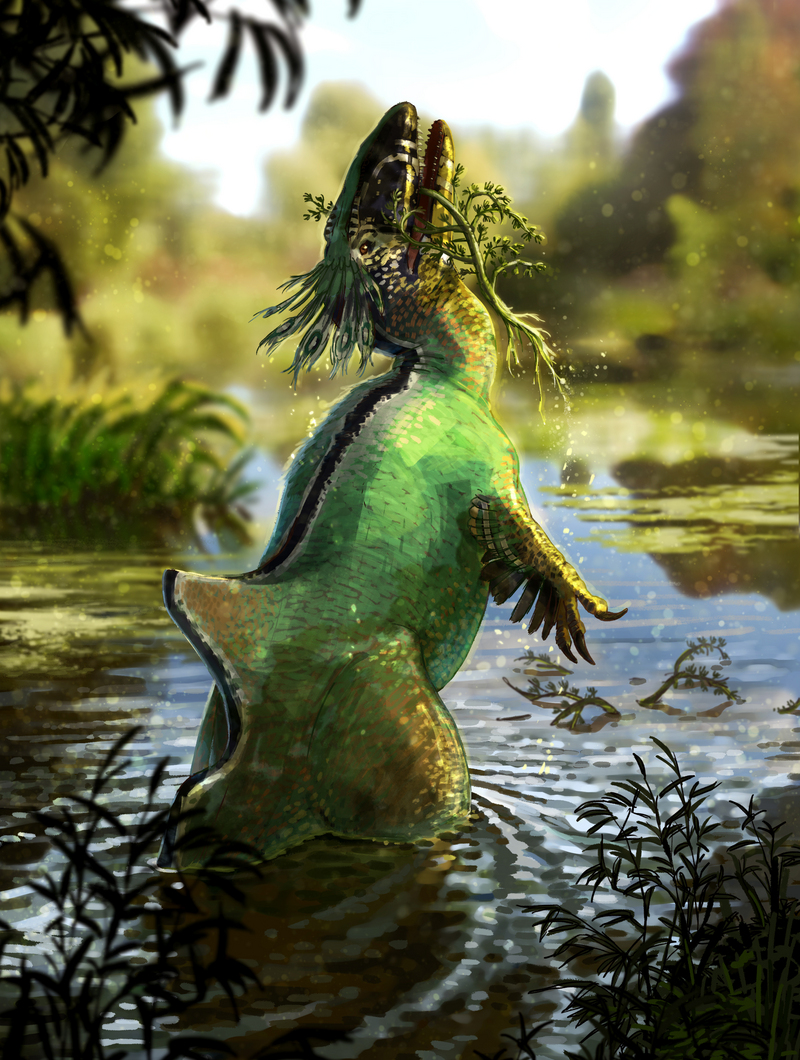 Concavenator corcovatus; DISPLAY FULL IMAGE.