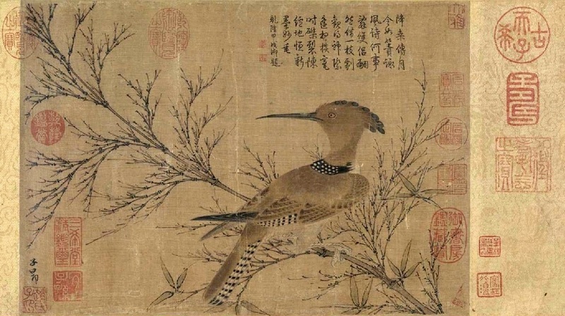 hoopoe (Upupa epops); DISPLAY FULL IMAGE.