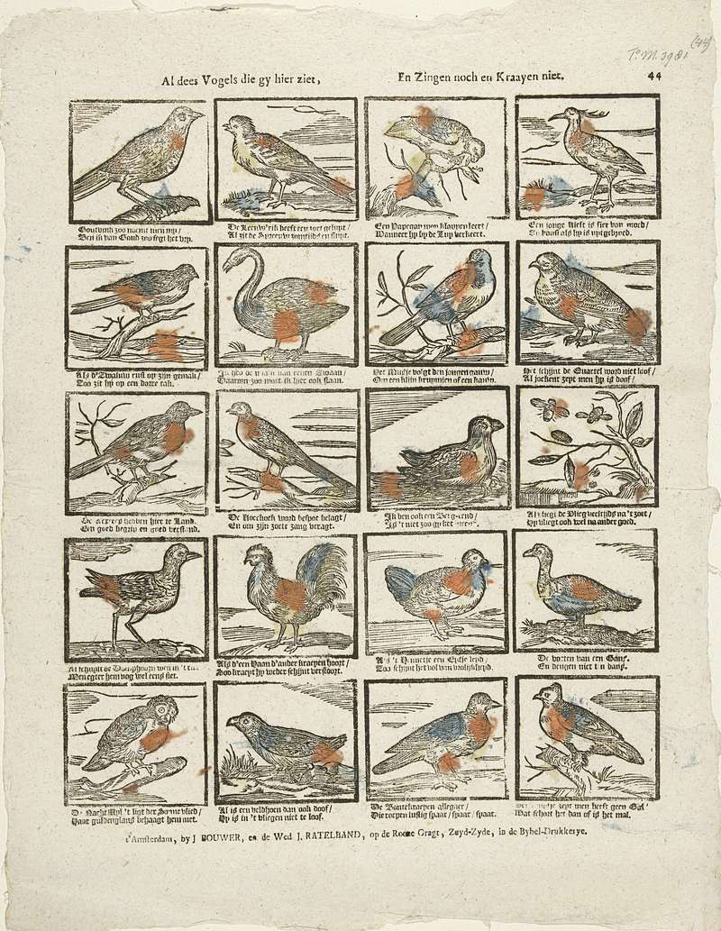 common cuckoo (Cuculus canorus), little owl (Athene noctua), mute swan (Cygnus olor); DISPLAY FULL IMAGE.