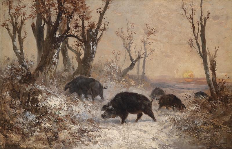 wild boar (Sus scrofa); DISPLAY FULL IMAGE.