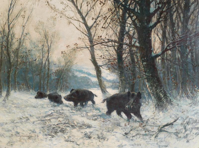 wild boar (Sus scrofa); DISPLAY FULL IMAGE.