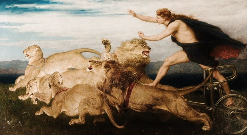 lion (Panthera leo); DISPLAY FULL IMAGE.