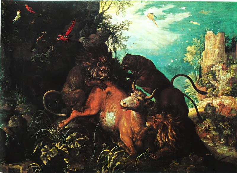 lion (Panthera leo); DISPLAY FULL IMAGE.