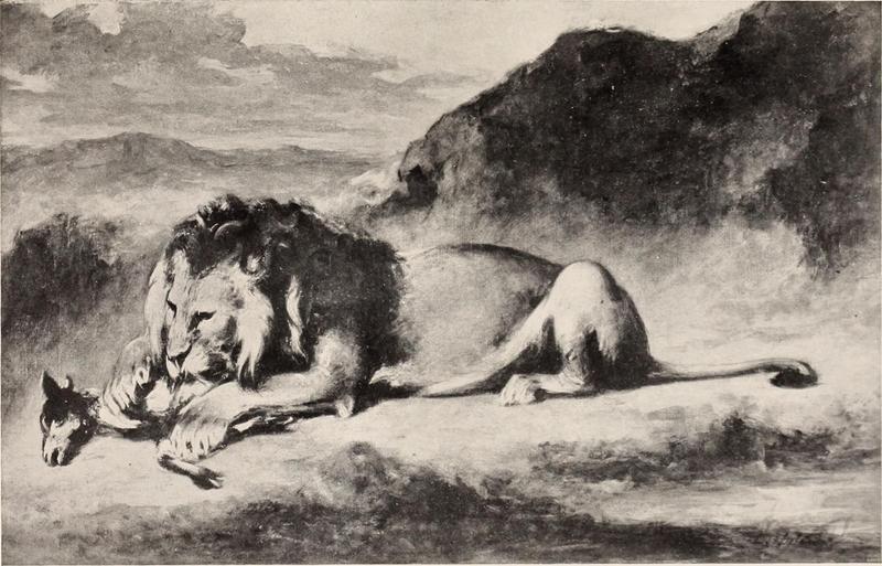 lion (Panthera leo); DISPLAY FULL IMAGE.