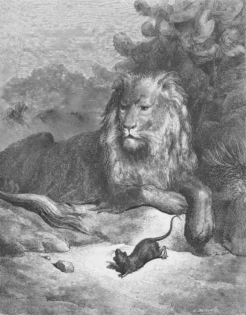 lion (Panthera leo); DISPLAY FULL IMAGE.