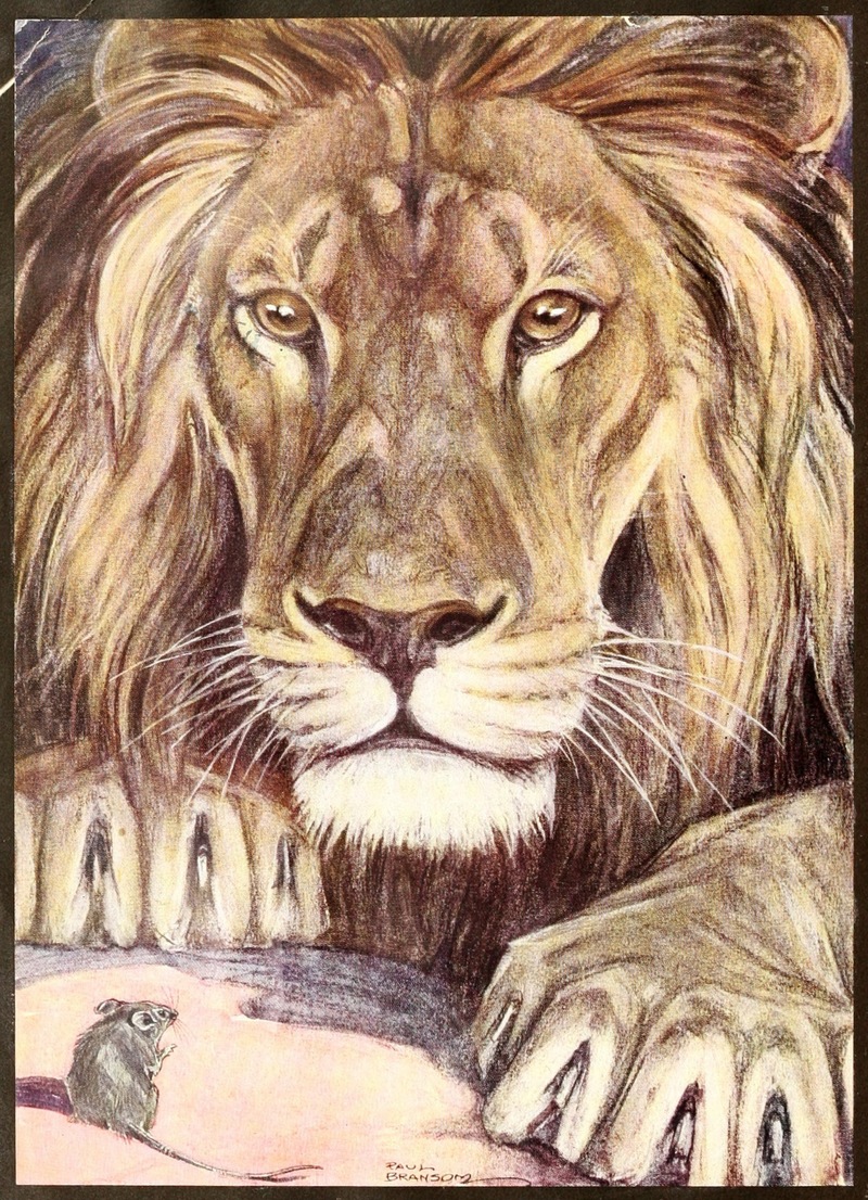 lion (Panthera leo); DISPLAY FULL IMAGE.
