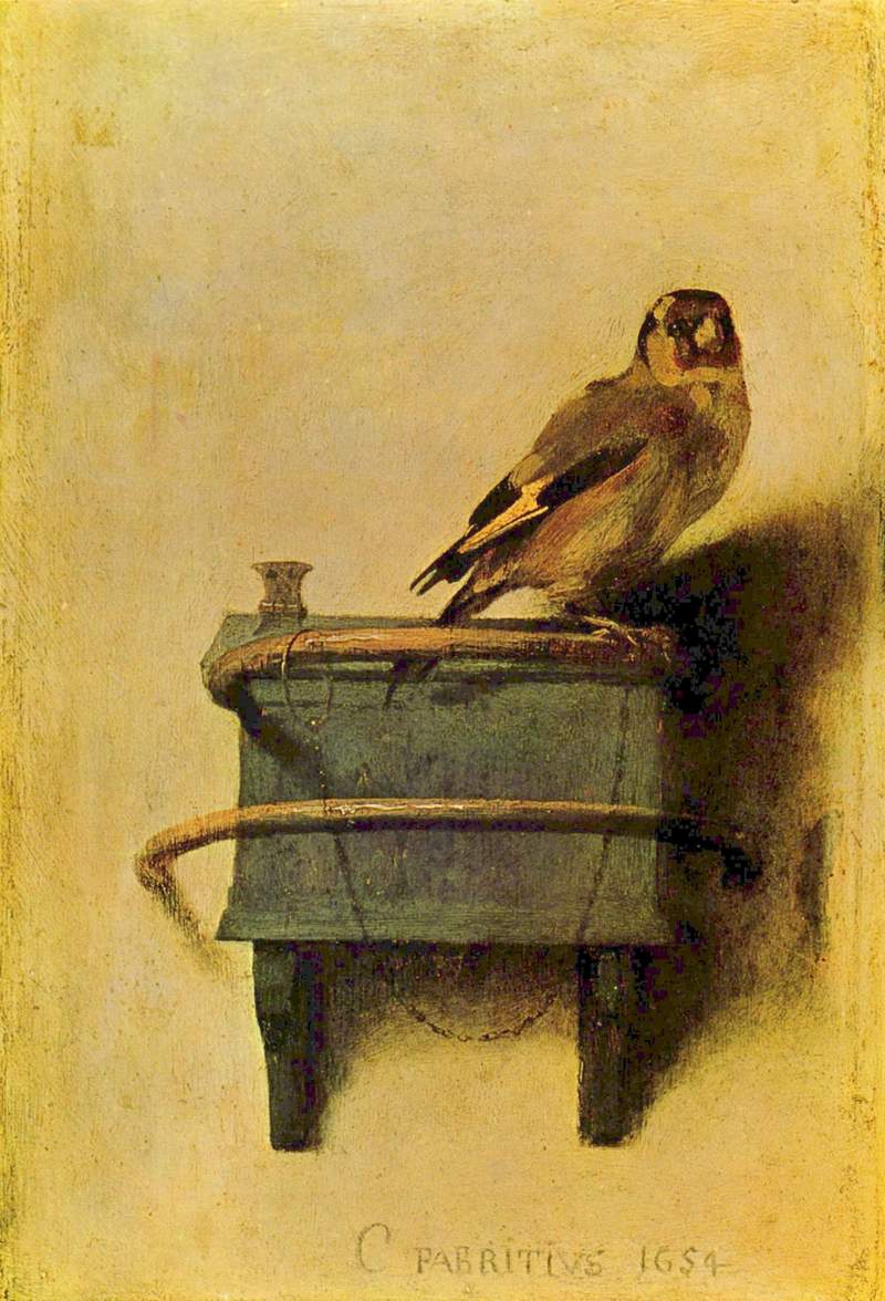 European goldfinch (Carduelis carduelis); DISPLAY FULL IMAGE.