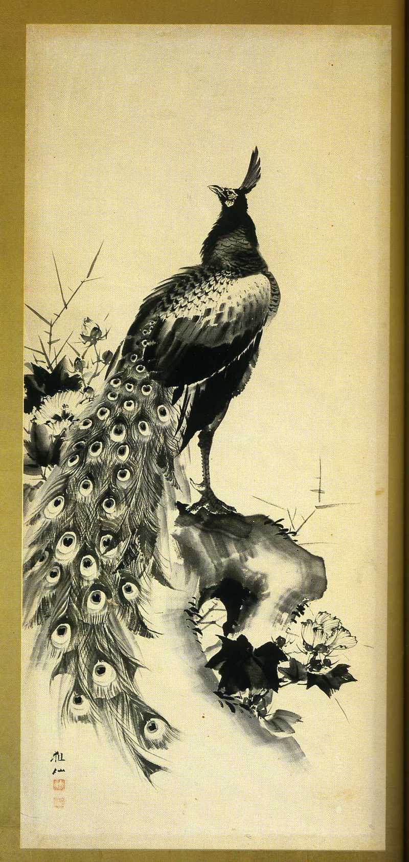 green peafowl (Pavo muticus); DISPLAY FULL IMAGE.