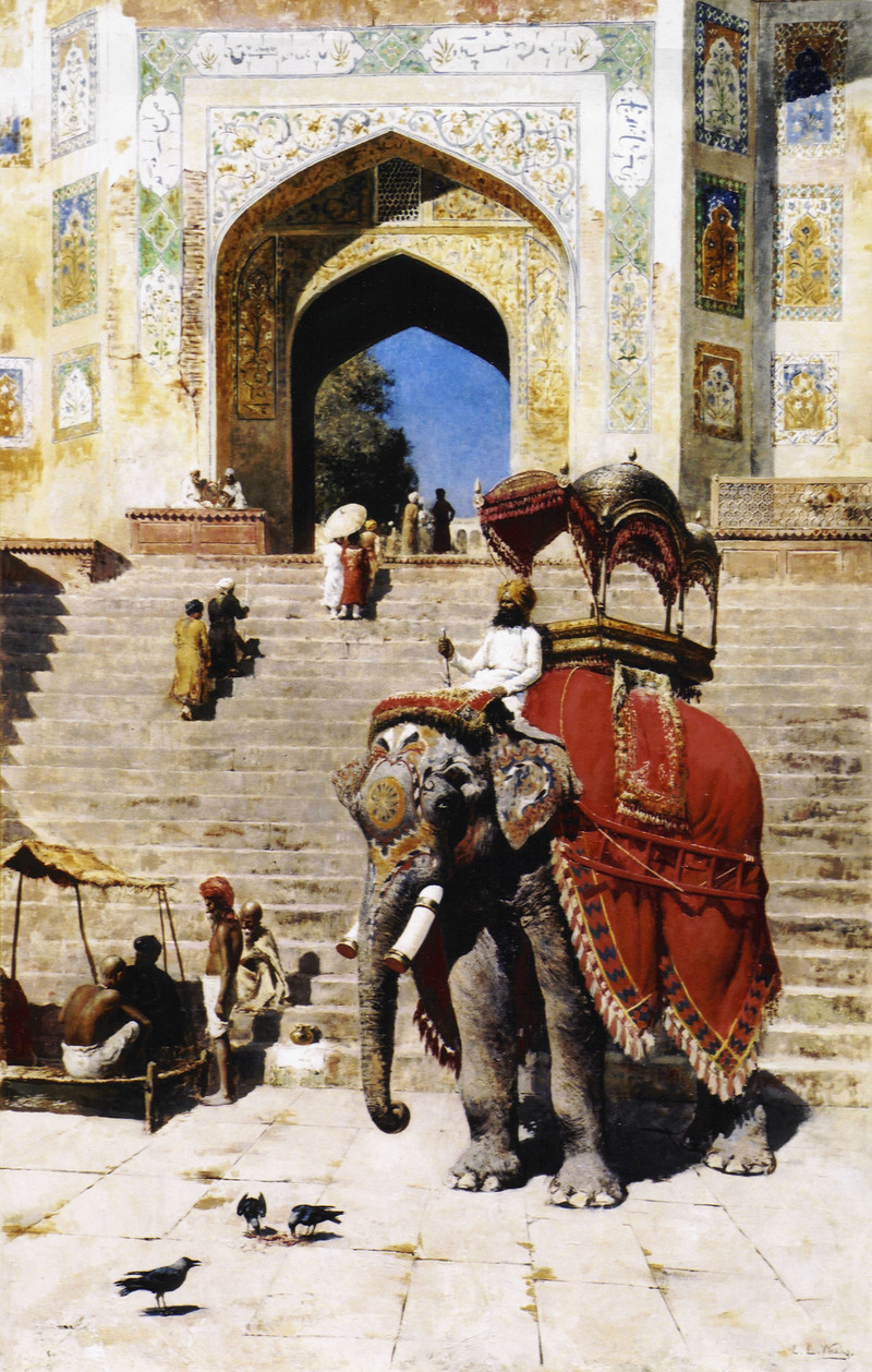 Asian elephant, Asiatic elephant (Elephas maximus); DISPLAY FULL IMAGE.