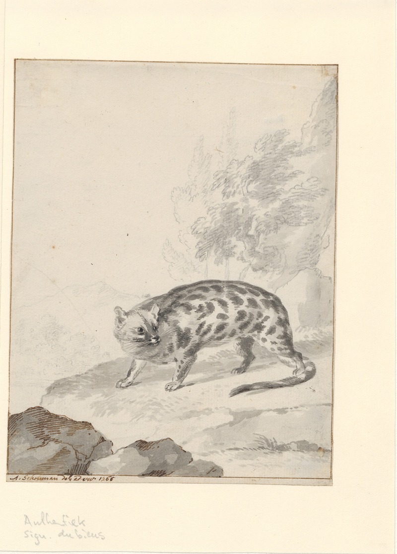 Asian palm civet (Paradoxurus hermaphroditus); DISPLAY FULL IMAGE.