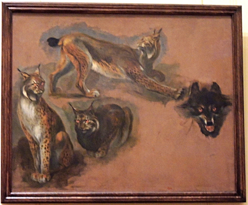 Eurasian lynx (Lynx lynx); DISPLAY FULL IMAGE.