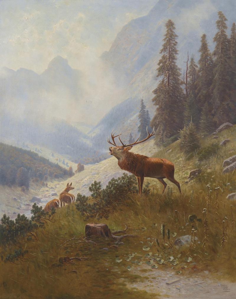 red deer (Cervus elaphus); DISPLAY FULL IMAGE.