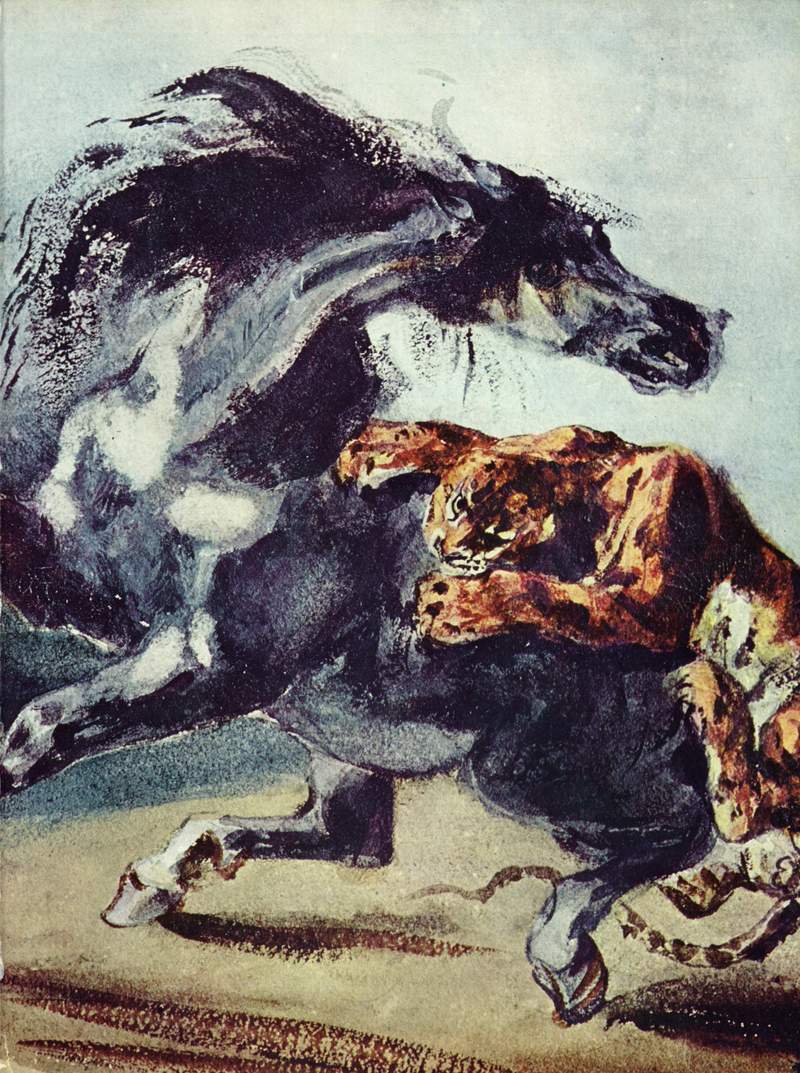 tiger (Panthera tigris); DISPLAY FULL IMAGE.
