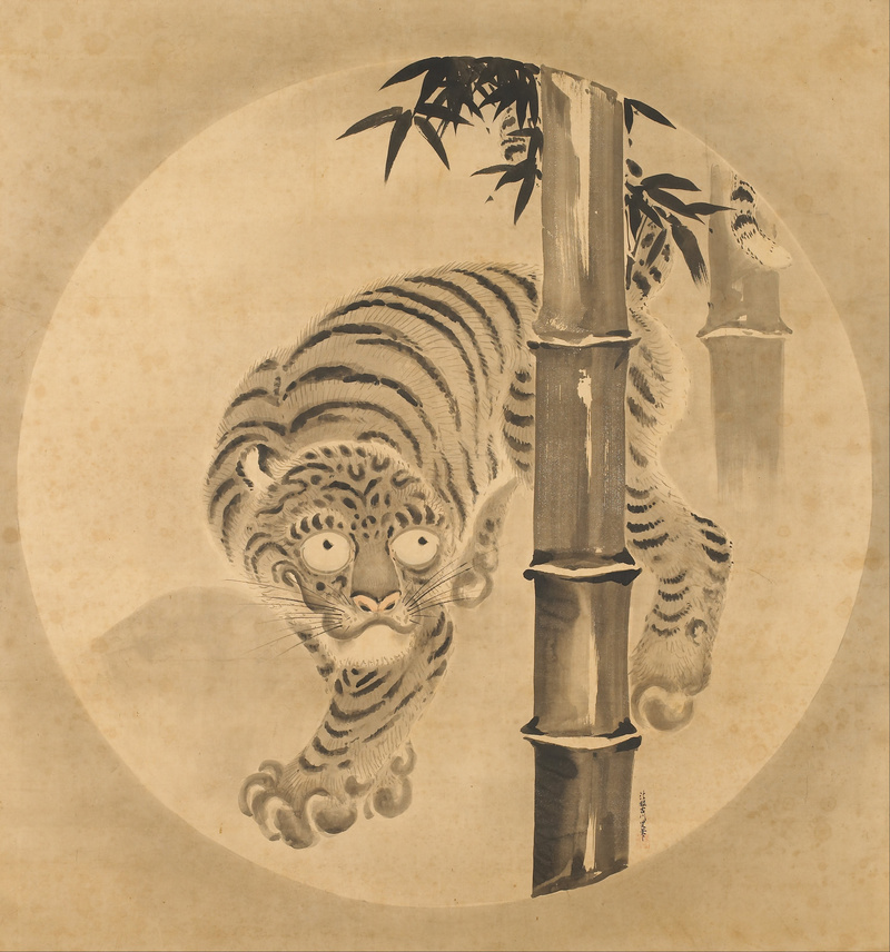 tiger (Panthera tigris); DISPLAY FULL IMAGE.