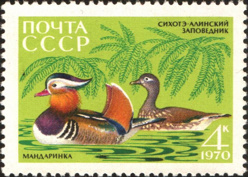 mandarin duck (Aix galericulata); DISPLAY FULL IMAGE.
