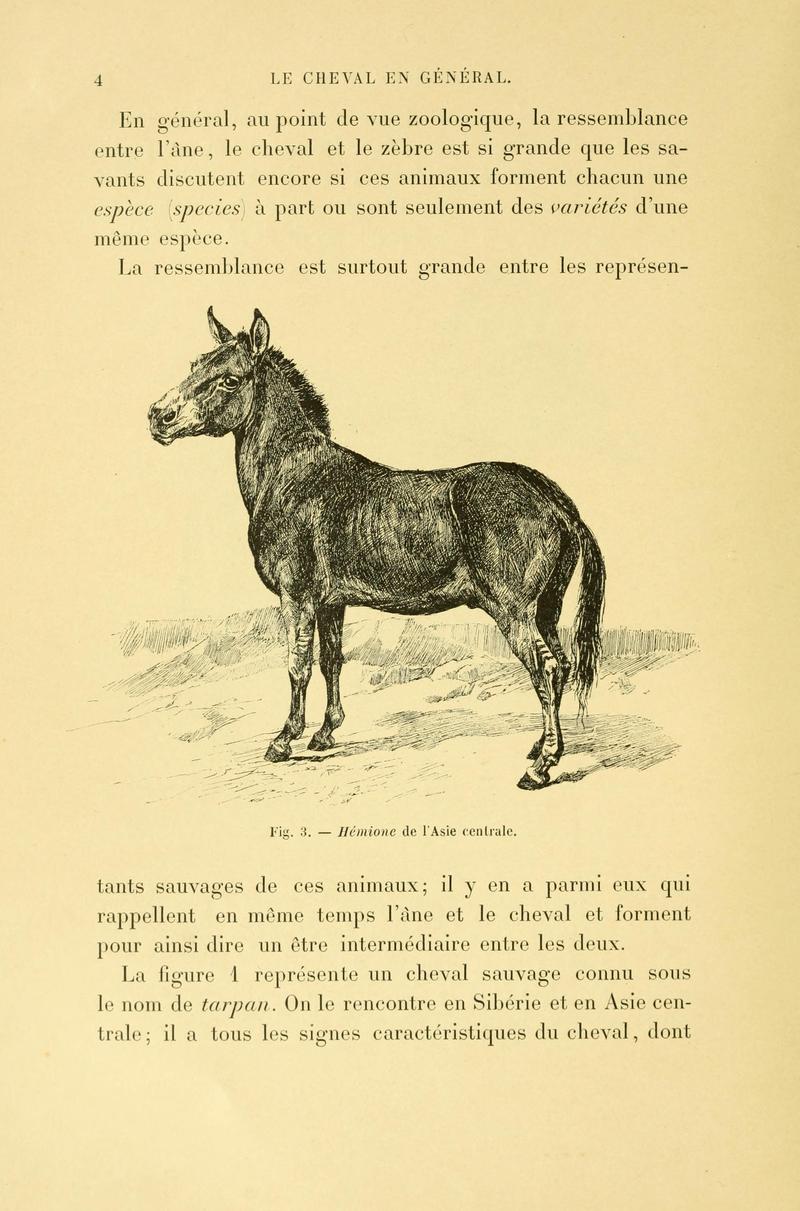 Asiatic wild ass, onager (Equus hemionus); DISPLAY FULL IMAGE.