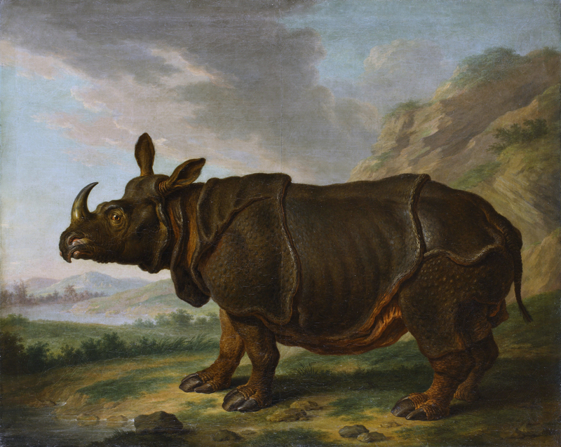 Indian rhinoceros (Rhinoceros unicornis); DISPLAY FULL IMAGE.