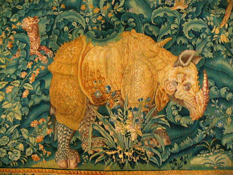 Indian rhinoceros (Rhinoceros unicornis); DISPLAY FULL IMAGE.