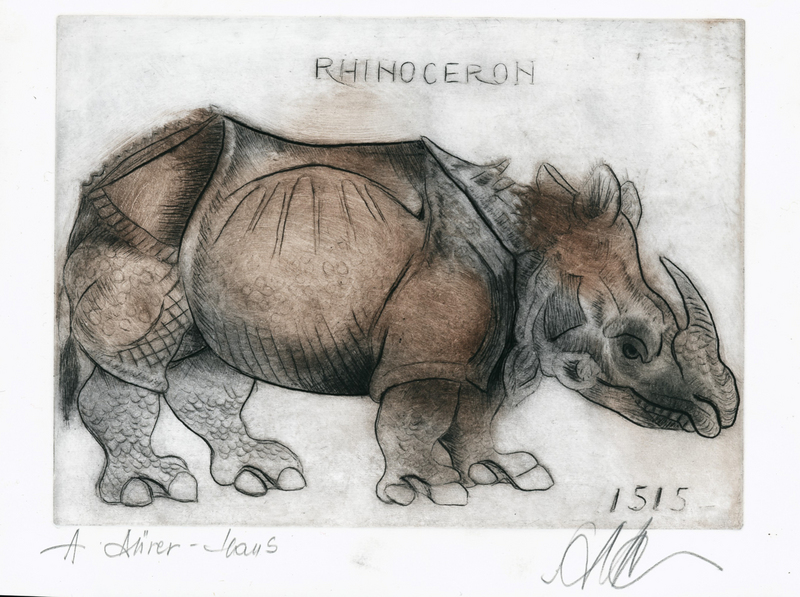 Indian rhinoceros (Rhinoceros unicornis); DISPLAY FULL IMAGE.