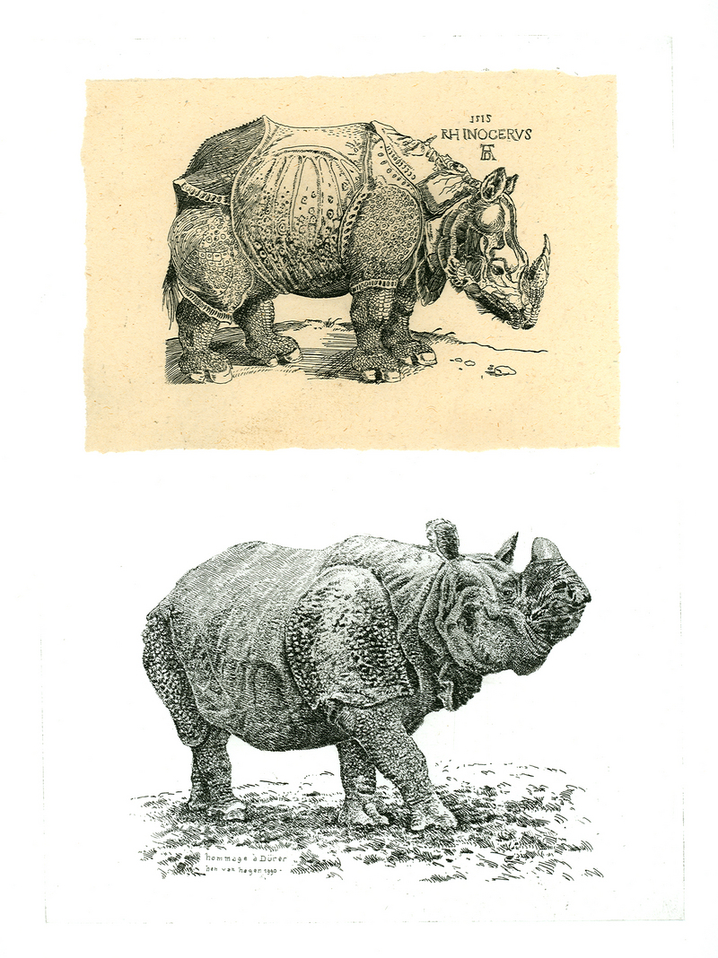 Indian rhinoceros (Rhinoceros unicornis); DISPLAY FULL IMAGE.