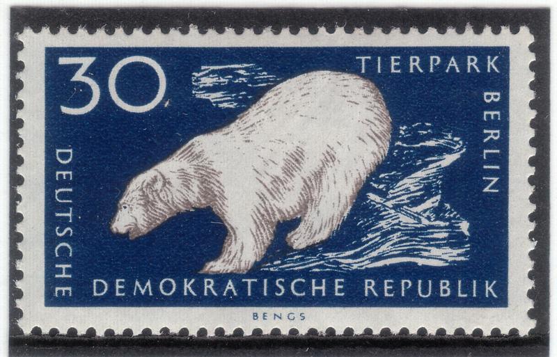 polar bear (Ursus maritimus); DISPLAY FULL IMAGE.