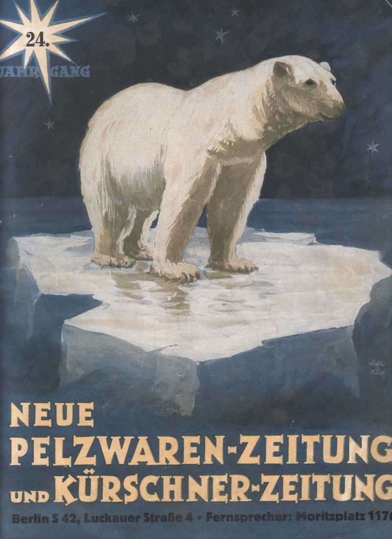 polar bear (Ursus maritimus); DISPLAY FULL IMAGE.
