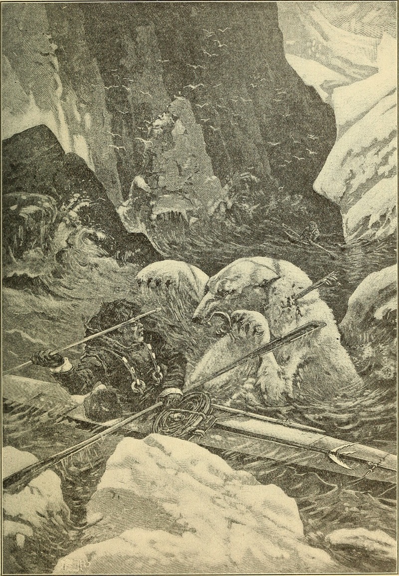 polar bear (Ursus maritimus); DISPLAY FULL IMAGE.
