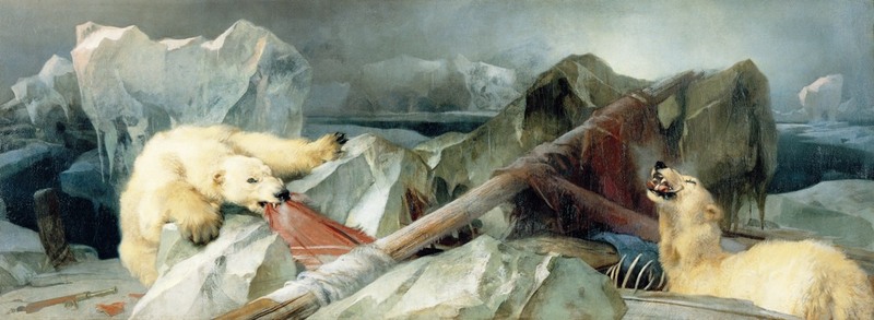 polar bear (Ursus maritimus); DISPLAY FULL IMAGE.