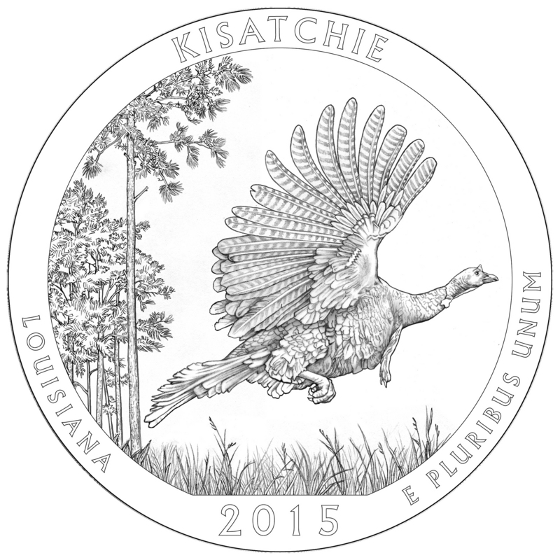 wild turkey (Meleagris gallopavo); DISPLAY FULL IMAGE.