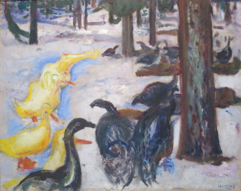 domesticated turkey (Meleagris gallopavo); DISPLAY FULL IMAGE.