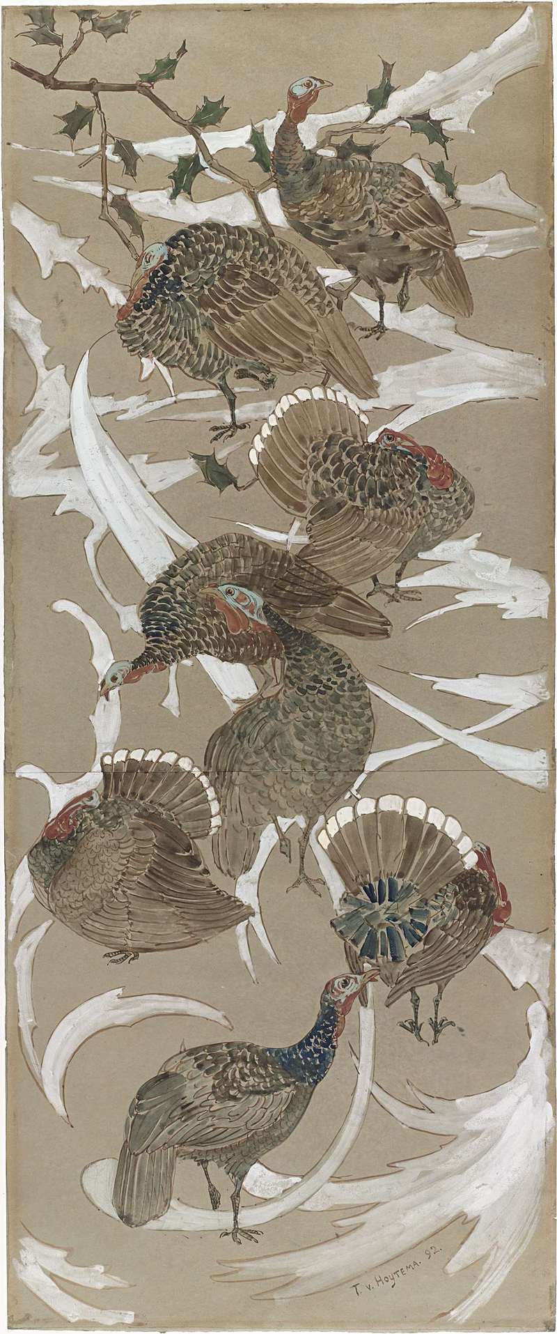 domesticated turkey (Meleagris gallopavo); DISPLAY FULL IMAGE.