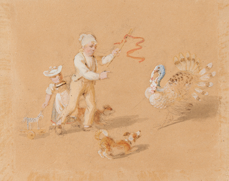 domesticated turkey (Meleagris gallopavo); DISPLAY FULL IMAGE.