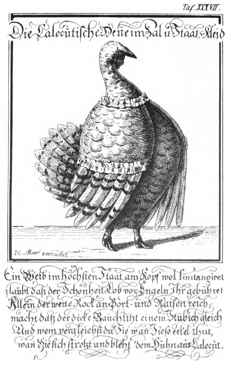 domesticated turkey (Meleagris gallopavo); DISPLAY FULL IMAGE.