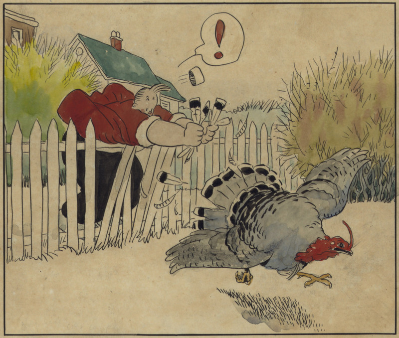 domesticated turkey (Meleagris gallopavo); DISPLAY FULL IMAGE.