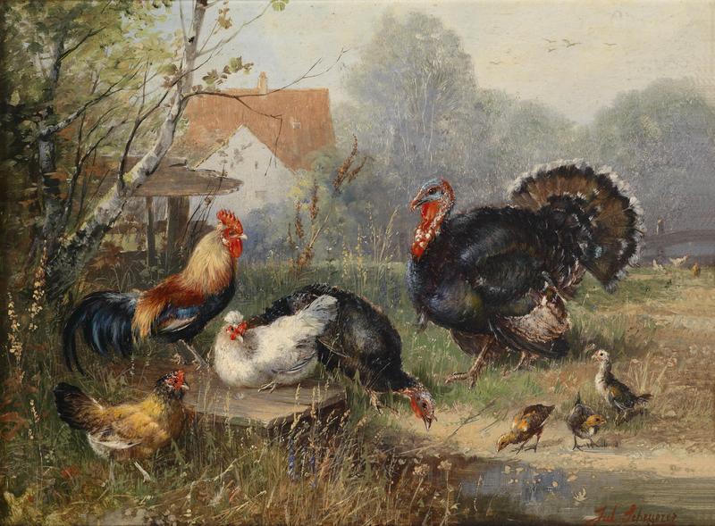 domestic chicken (Gallus gallus domesticus), domesticated turkey (Meleagris gallopavo); DISPLAY FULL IMAGE.