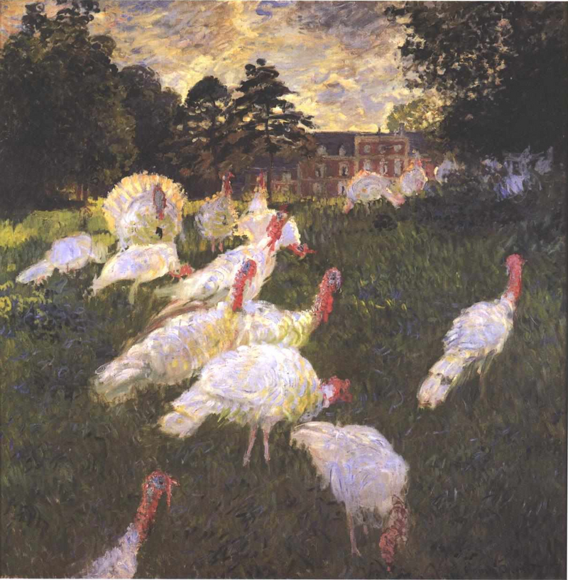 domesticated turkey (Meleagris gallopavo); DISPLAY FULL IMAGE.