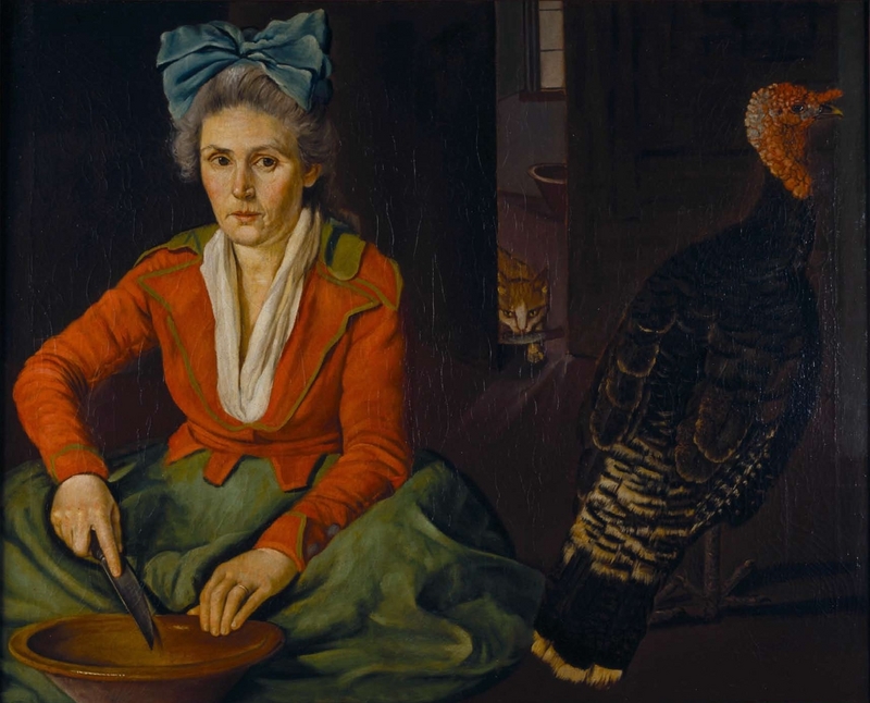 domesticated turkey (Meleagris gallopavo); DISPLAY FULL IMAGE.