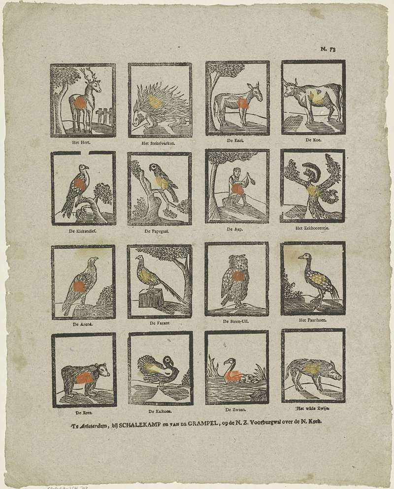 domesticated turkey (Meleagris gallopavo); DISPLAY FULL IMAGE.
