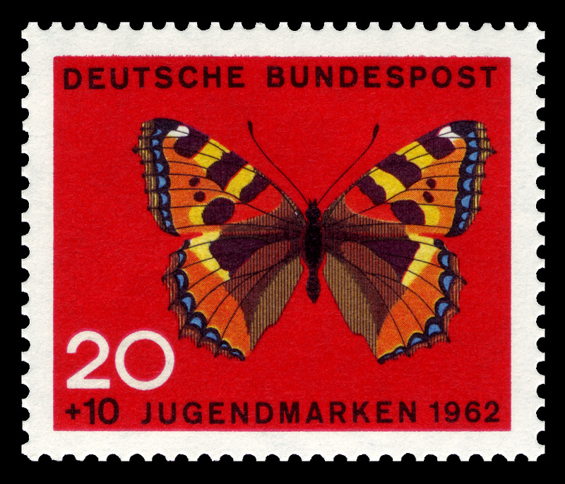 small tortoiseshell (Aglais urticae); DISPLAY FULL IMAGE.
