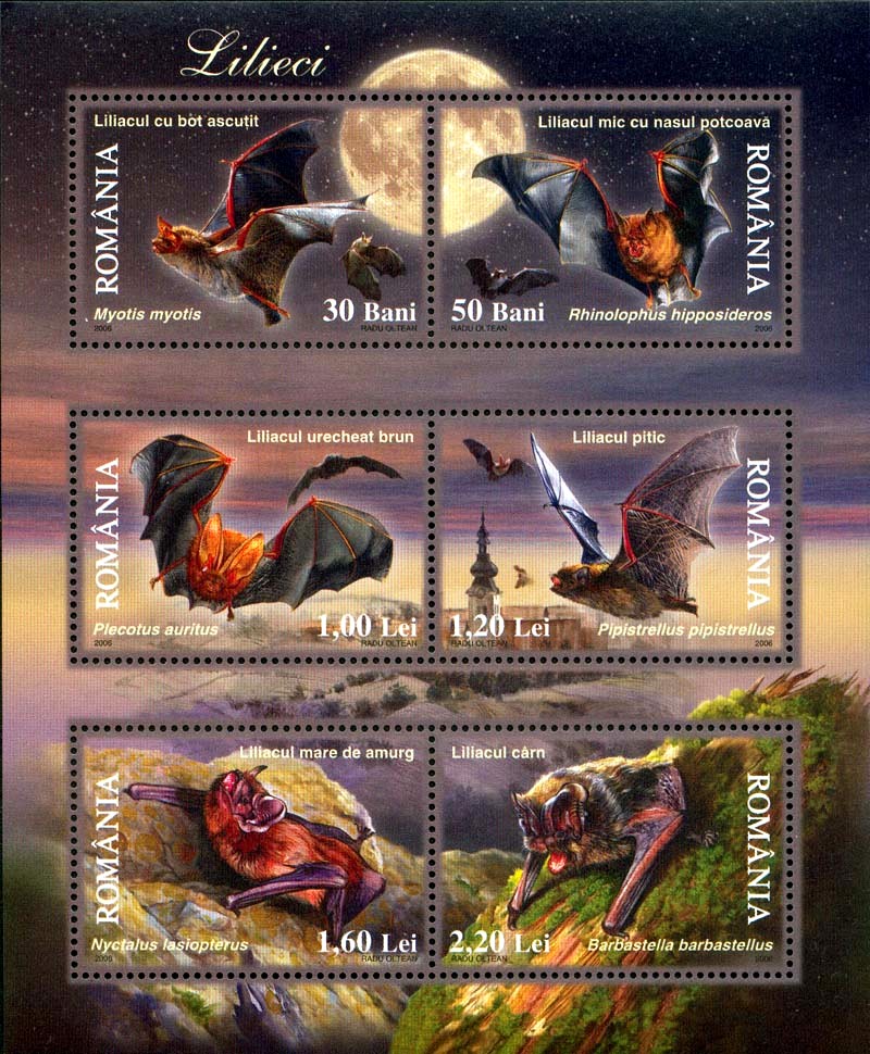 greater mouse-eared bat (Myotis myotis), lesser horseshoe bat (Rhinolophus hipposideros), brown long-eared bat (Plecotus auritus), common pipistrelle (Pipistrellus pipistrellus), greater noctule bat (Nyctalus lasiopterus), western barbastelle (Barbastella barbastellus); DISPLAY FULL IMAGE.