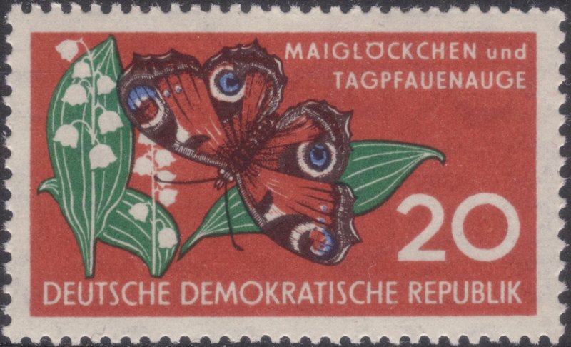 European peacock butterfly (Aglais io); DISPLAY FULL IMAGE.