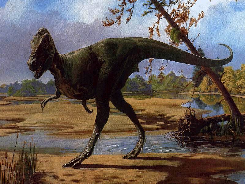 Dinosaur Art; DISPLAY FULL IMAGE.